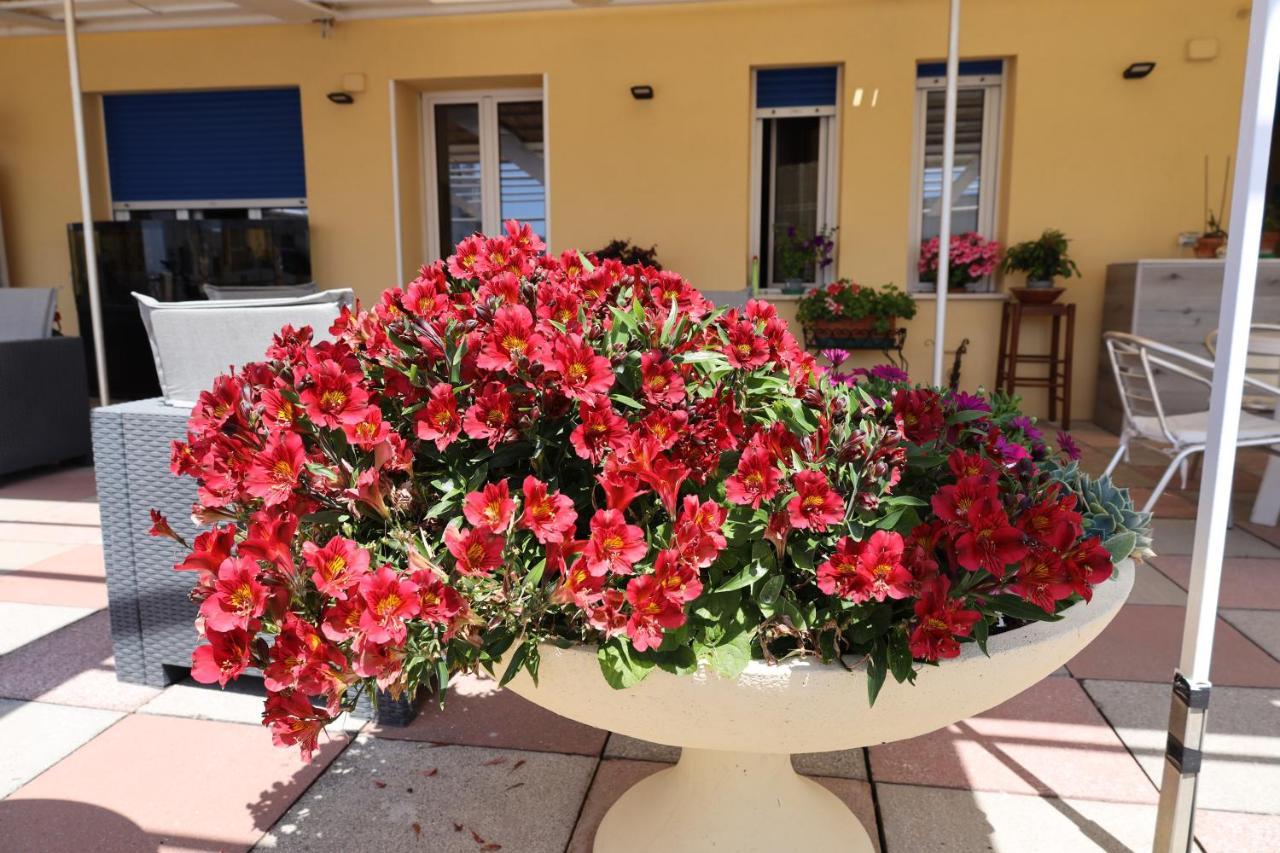 Albergo Stella Di Mare Lavagna Dış mekan fotoğraf